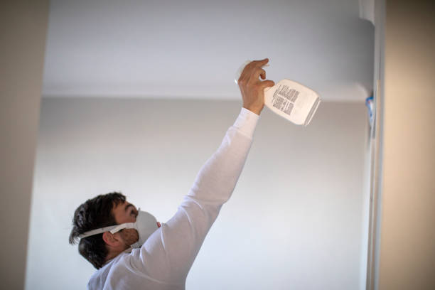 Best Mold Remediation  in Gregory, TX