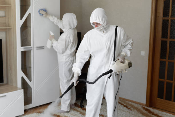 Home Mold Removal in Gregory, TX