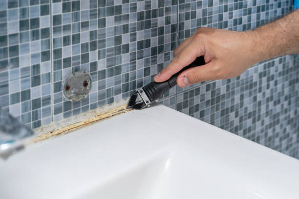 Best Professional Mold Removal  in Gregory, TX