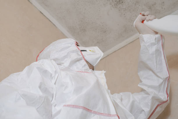 Best Local Mold Removal Service  in Gregory, TX