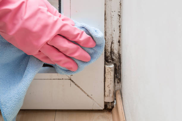 Best Mold Testing  in Gregory, TX